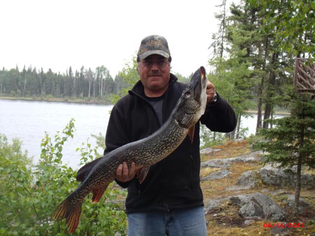 Monster Saskatchewan Northern Pike