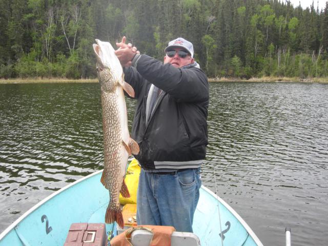 Monster Saskatchewan Northern Pike