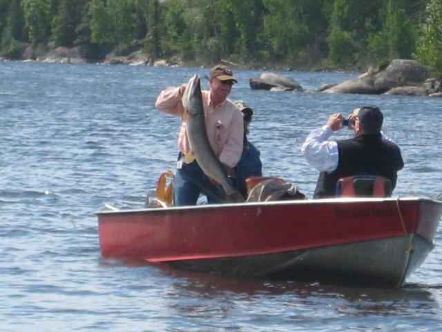 Monster Saskatchewan Northern Pike
