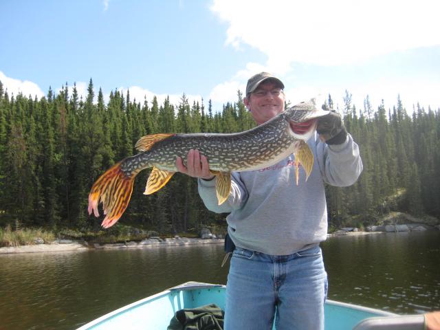 Monster Saskatchewan Northern Pike