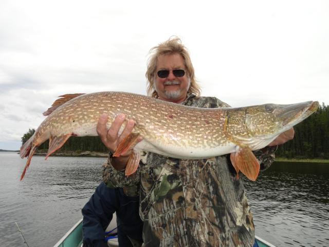 Monster Saskatchewan Northern Pike