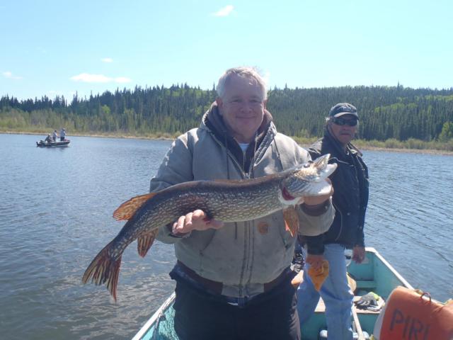 Monster Saskatchewan Northern Pike