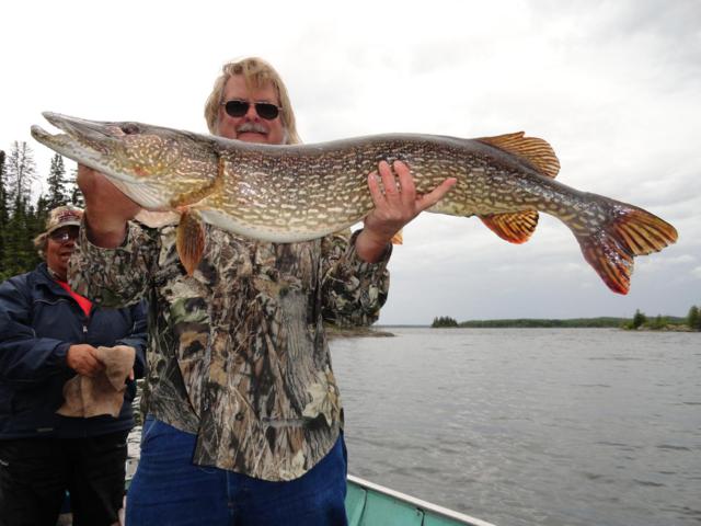Monster Saskatchewan Northern Pike