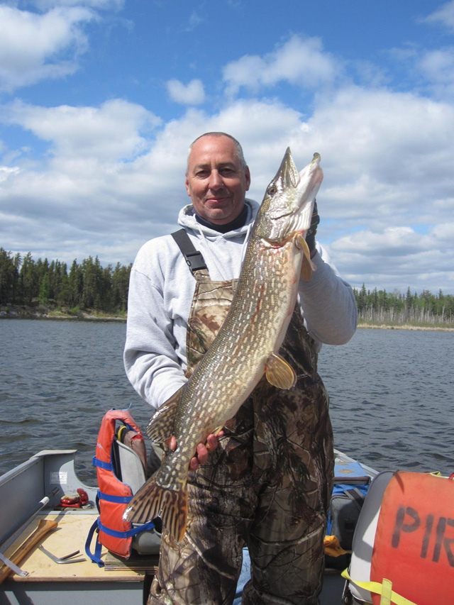 Monster Saskatchewan Northern Pike