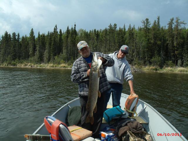 Monster Saskatchewan Northern Pike