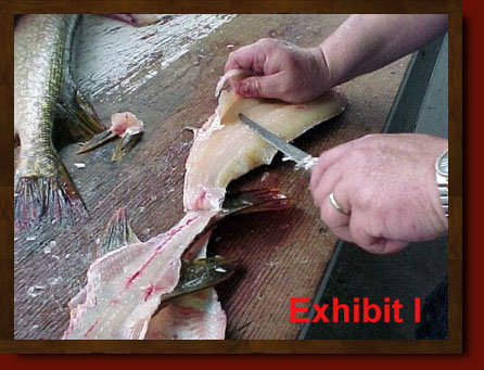 fillet pike remove y-bones from northern pike