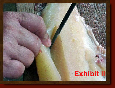 fillet pike remove y-bones from northern pike