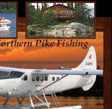 Northern Pike Recipes
